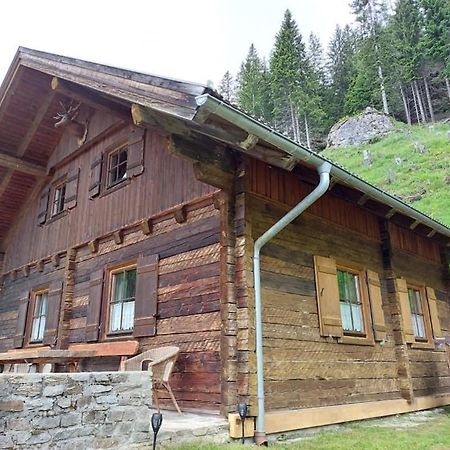 Siegel Almhuette Villa Zederhaus Kültér fotó