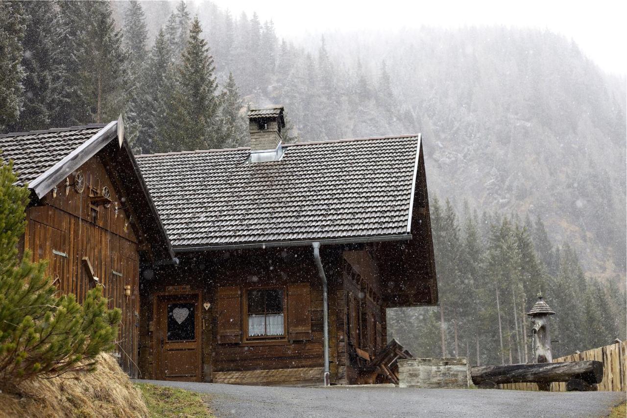 Siegel Almhuette Villa Zederhaus Kültér fotó